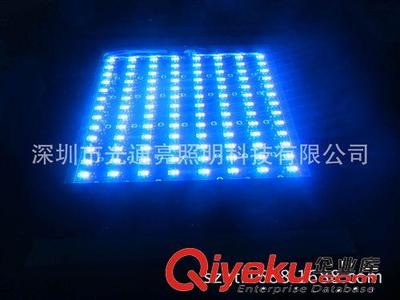 供应LED plant growth light 外贸热销产品 CREE大功率图片|供应LED plant growth light 外贸热销产品 CREE大功率产品图片由深圳市光通亮照明科技公司生产提供-