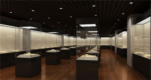 展柜 睿城 专业定制 广东私人藏品展柜设计制作厂