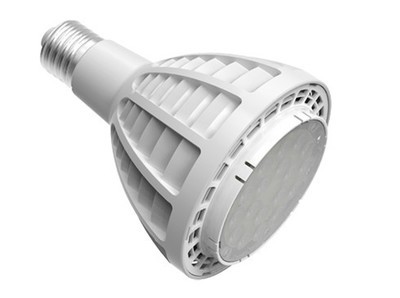 【热销30W大功率LED射灯 led装饰灯 led绿化灯 led工业照明灯具】价格,厂家,图片,LED射灯,深圳市华灯明月照明科技-