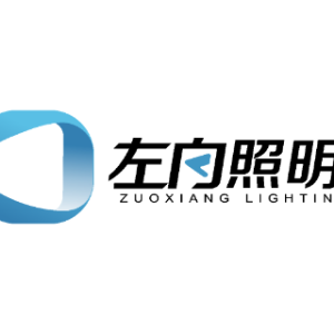 广东左向科技